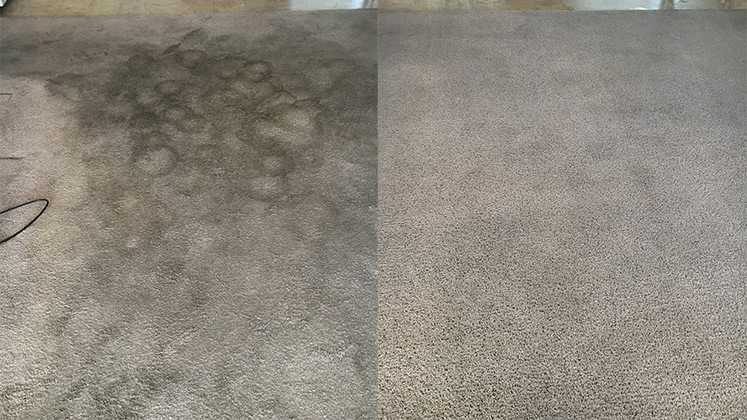 best quality carpet cleaning in Bullhead City